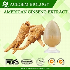 USP38 American Ginseng Root Extract with 1%-20% ginsenosides by HPLC