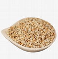 pearl barley  2