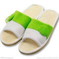 Slipper 1