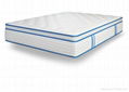 Factory plush Thailand latex mattress 1