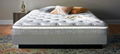 Message spine orthopedic mattress