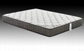 Wholesale rolling pocket spring mattress