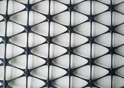 plastic geogrid 5