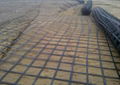 steel plastic geogrid 3