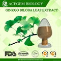 Ginkgo Biloba Leaf Extract 1