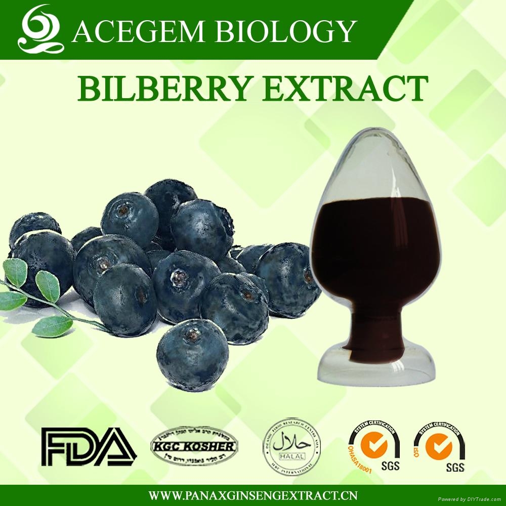 Bilberry Extract Anthocyanidins 25 BE1 Acegem (China Manufacturer