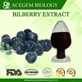 Bilberry Extract Anthocyanidins 25%