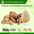 Panax Notoginseng Extract 1