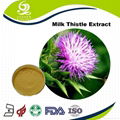 Milk Thistle Extract Silymarin 1