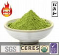 Premium Organic Matcha Green Tea Powder 1