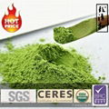 Organic Green Tea Powder 1