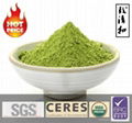 USDA Organic Powdered Green Tea 1