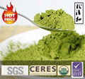 Superior Organic Green Tea Matcha