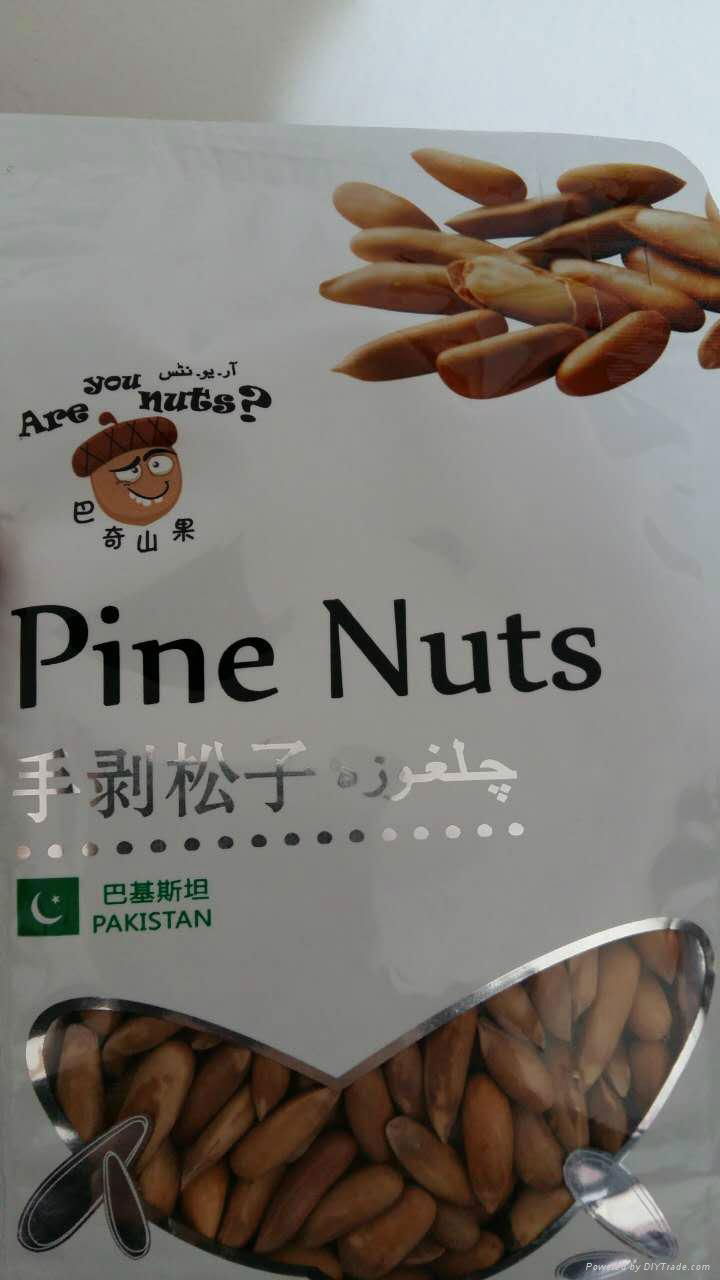 Pine Nuts 4