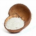 Fine desiccated coconut 3