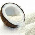 Desiccated Coconut Shred  Grade  3