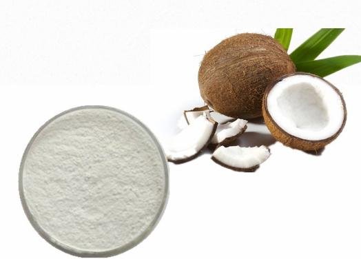 Coconut milk powder  2