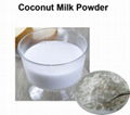 Coconut milk powder  3