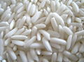 THAI WHITE GLUTINOUS RICE 1