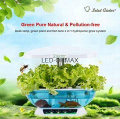 OHMAX Intelligent LED Indoor Garden Hydroponics Grower Kit Plant Growing System