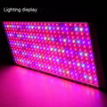 OHMAX 700W Full Spectrum Dimmable LED Panel Grow Light