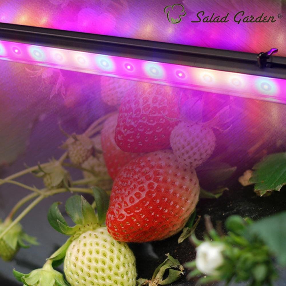 OHMAX Double-face Lighting IP65 Waterproof Tomato LED Grow Light Bar 4