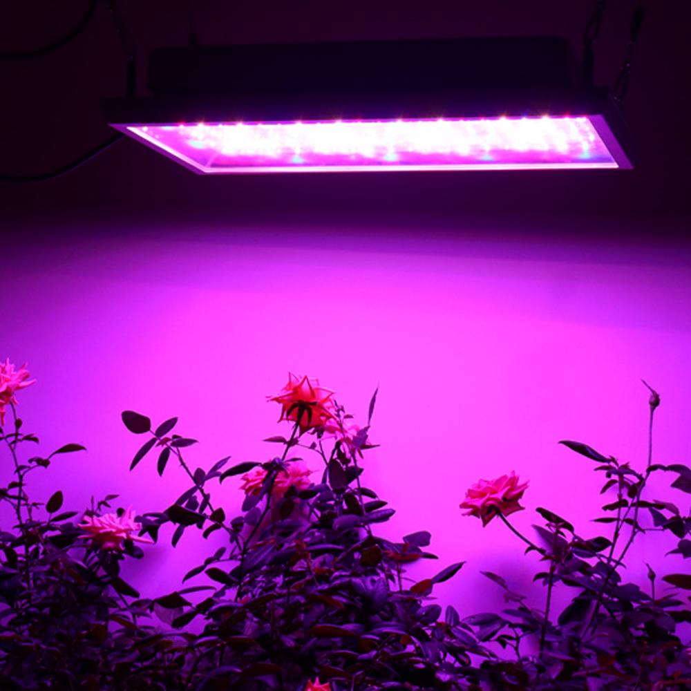 OHMAX 200W LED Panel Grow Light 4