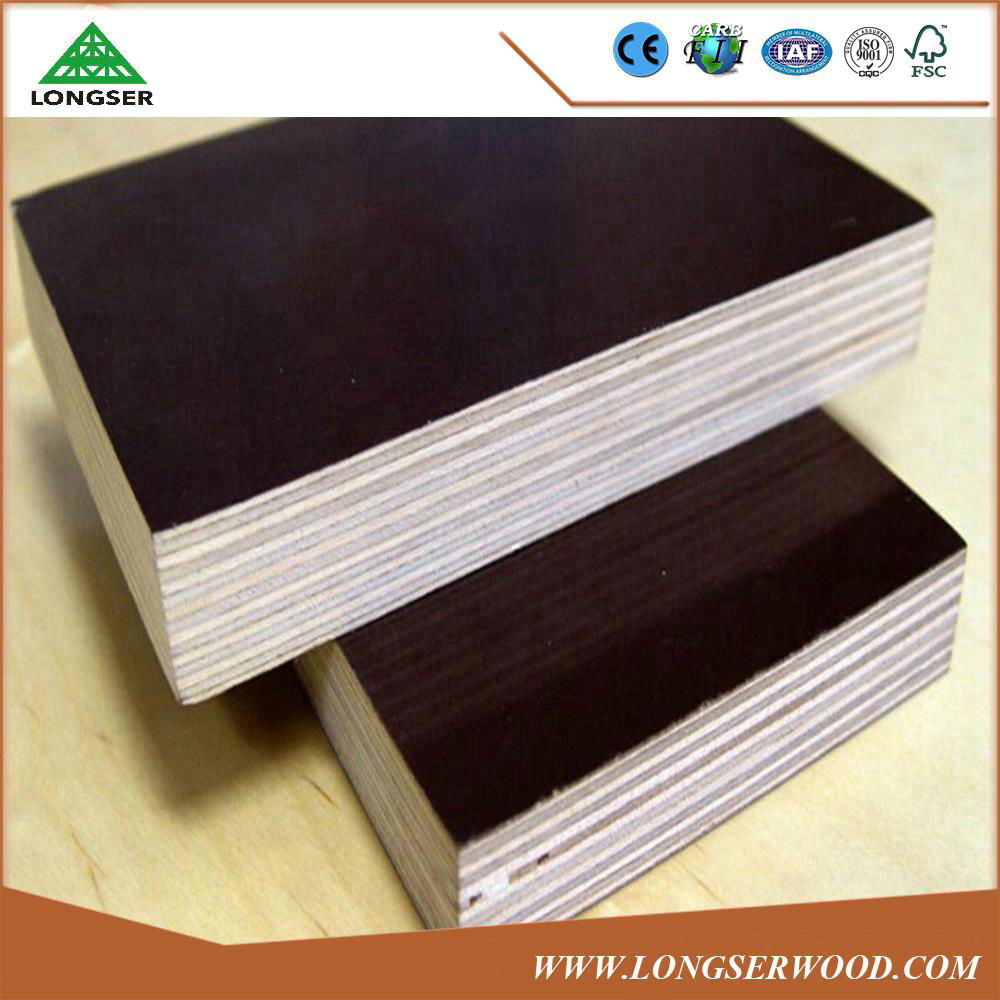 15mm construction film faced plywood construction 3