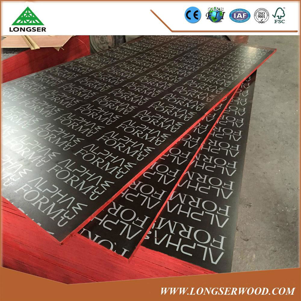 15mm construction film faced plywood construction 2
