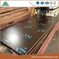 15mm construction film faced plywood construction