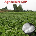 Super Absorbent polymer for agriculture 3