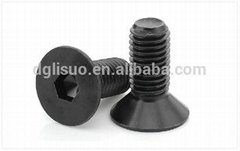 Different kinds of Screw and Fasten