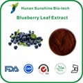 Blueberry Leaf Extract Chlorogenic Acid