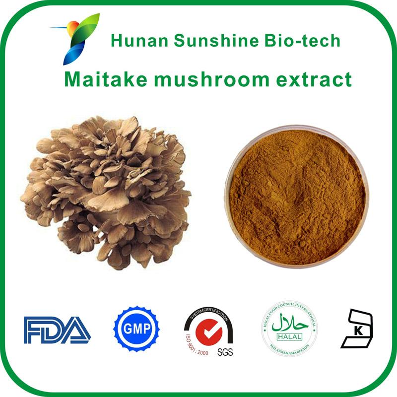 Maitake mushroom extract powder 122801 Hunan sunshine (China