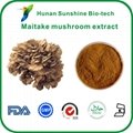 Maitake mushroom extract powder  1
