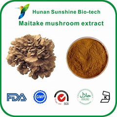 Maitake mushroom extract powder 