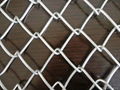 Chain Link Fence 1