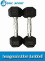 hex rubber dumbbell