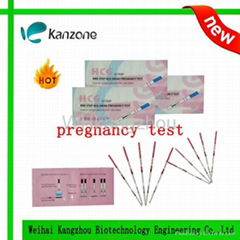 Home test Pregnancy test urine strip