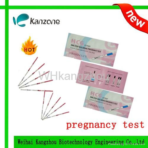 Home test Pregnancy test urine strip pregnancy test 2