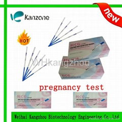 Home test Pregnancy test urine strip pregnancy test