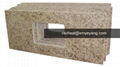 Giallo Ornamental Granite Countertops