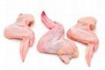 Brazilian Origin - Halal Frozen Chicken Paws , High Quality Frozen Chicken Paws  1