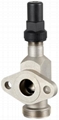 Flange check valve A 2