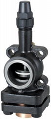 casting iron valve