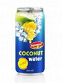 Mango Flavour With Coconut Water In