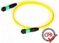 LC Sc Single Mode St FC Simplex Duplex Fiber Optical Patch Cord 5