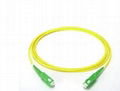 Sc APC Pigtail CWDM DWDM pigtail