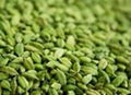 GREEN CARDAMOM (ELAICHI) 1