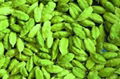 GREEN CARDAMOM (ELAICHI) 4